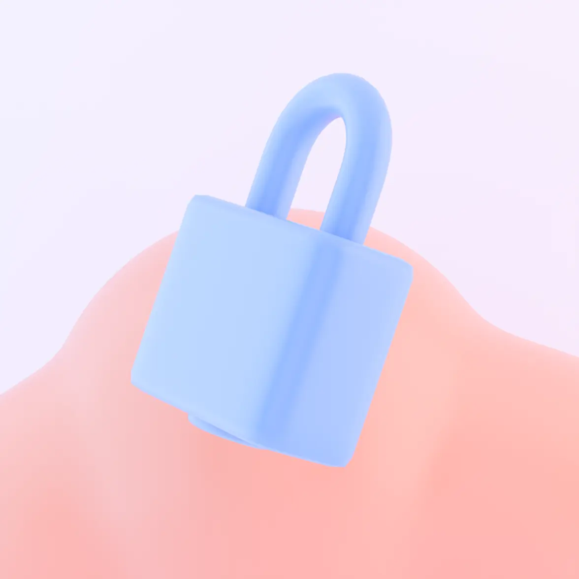 image data security